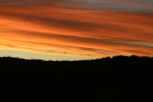 Hinter den Dünen (Texel)