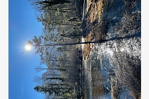 Winterzauber Winterzauber