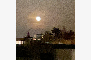 Blick aus dem Fenster