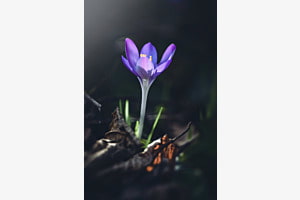 Spring vibes