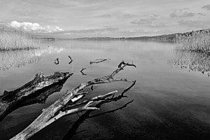 Lac de Bienne