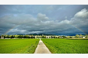 Der Weg 