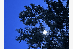 Der Mond ist aufgegangen 