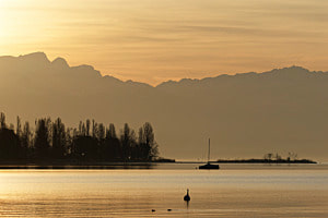 Genfersee im Morgenlicht
