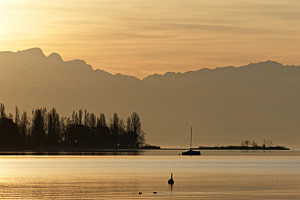Genfersee im Morgenlicht