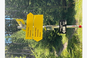 Wegweisend