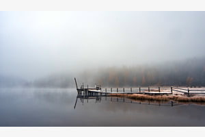Herbstfarben im Nebel
