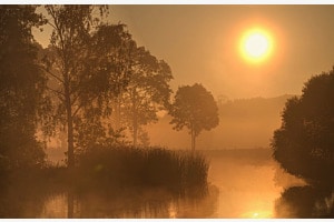 Stille 