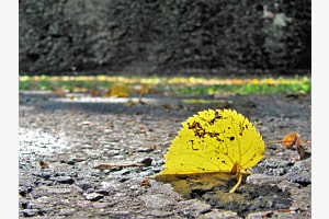 Im Glanz der Herbstsonne