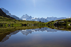 Tümpel