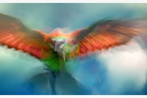 Sommervogel