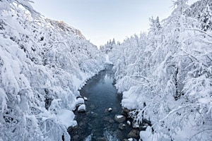 Fluss