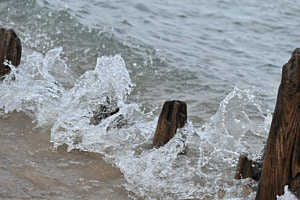 Wave