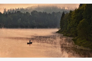 Stille Stille