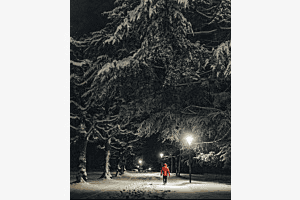 Stille Nacht 