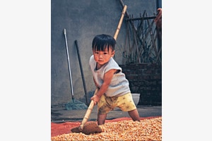 Child at work 