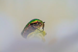 Macro World Macro World
