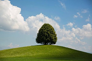 Natur Pur 