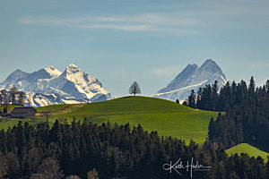 Die Linde im Emmental