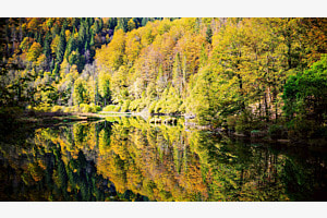 Color and nature Color and nature