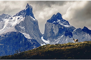 Torres del Paine 