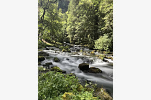 Natur Natur