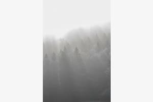 Chasseral 2