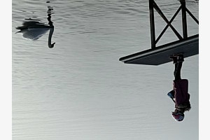 Begegnung am See