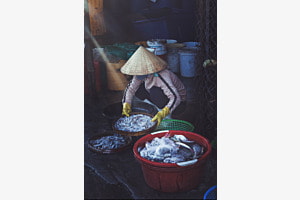 Fish market lady 