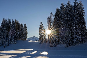 Winter