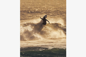 Surf’s up! 