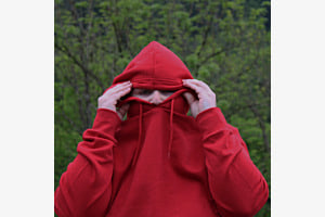 Rot