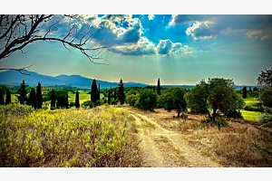 Landschaft 