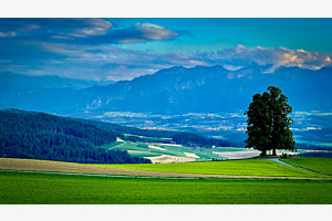Landschaft 