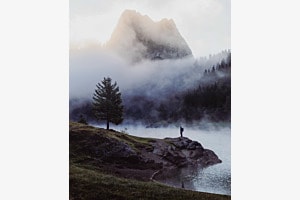 Moody nature 