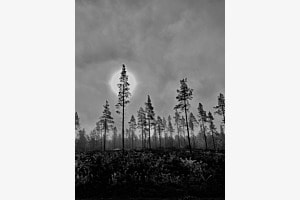 Matin d‘été en Norvège Matin d‘été en Norvège