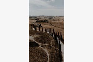 The calm freedom of Tuscany The calm freedom of Tuscany