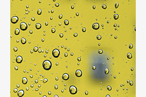 Ein schöner Regentag
