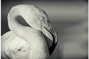Im Blick