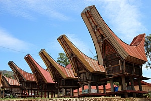 Reisspeicher der Torajas auf Sulawesi, Indonesien