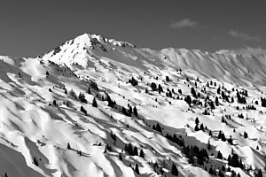 Schattenspiel bei der Gryde, Lenk