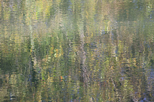 Spiegelungen an der Birs / BL