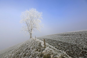 Nebelgrenze