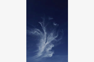 Wolkenbouquet