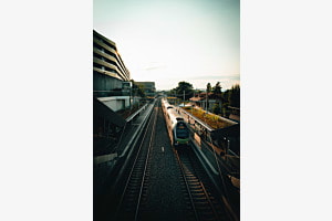 Urban Vibes