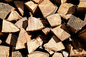 Waldspaziergang