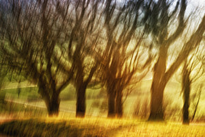Abstrakte Landschaft 