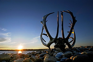 Mitternachtssonne am Mackenzie