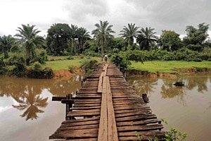 Brücke in die Tropen
