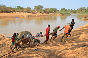 Be- und Entladung von Zebu-Karren auf/von Fährbooten, Madagaskar